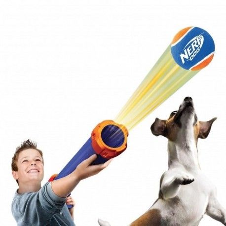 balle nerf pour chien