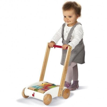 chariot pousseur janod