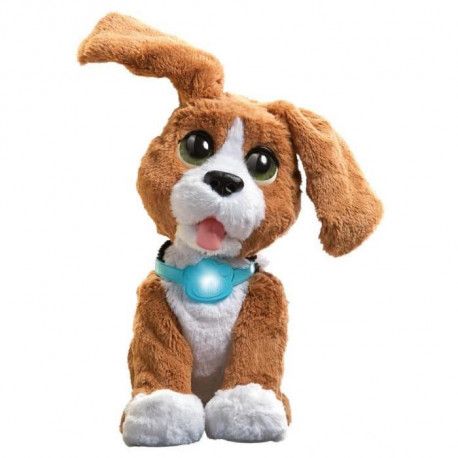 filo mon chien bavard prix