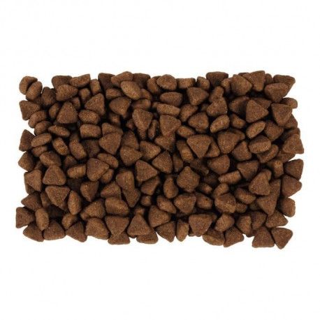 Perfect Fit Croquettes Au Poulet Pour Chat